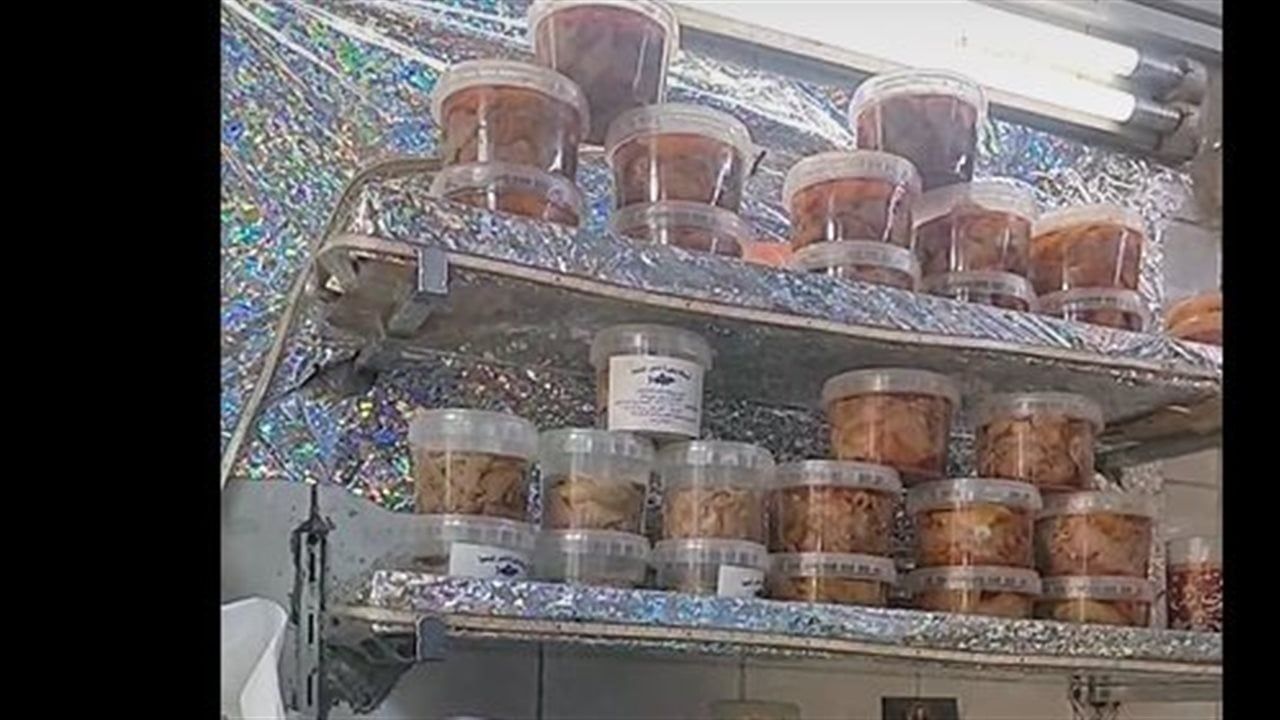 الفسيخ والرنجة بيتعملوا إزاي؟.. شوف سر المهنة عند أقدم فسخاني في شبرا (بث مباشر)