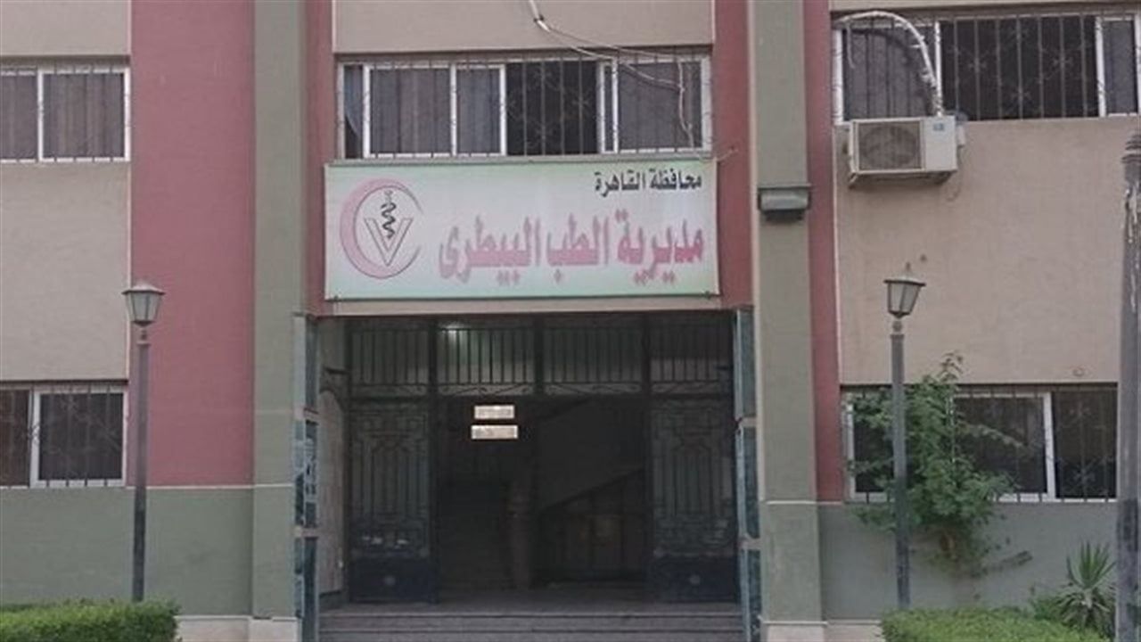 مديرية الطب البيطرى بالقاهرة: تخصيص قطع أراض لإنشاء شلاتر للحيوانات الضالة