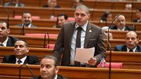 النائب أحمد جبيلي: كلمة الرئيس السيسي في «إيجبس 2026» ترسخ دور مصر كقوة مؤثرة في توازنات الإقليم
