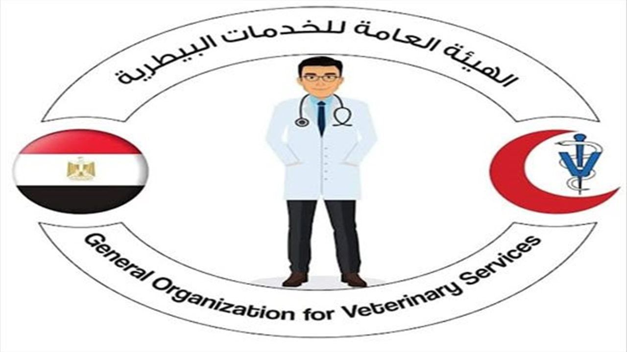 "الخدمات البيطرية" تنجح فى إجراء جراحات دقيقة لحيوانات أليفة