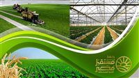 جهاز مستقبل مصر للتنمية المستدامة.. محرك رئيسي لدعم الاقتصاد الوطني ومشروعات التنمية المتكاملة