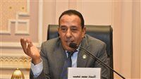 النائب محمد شعيب يطالب بزيادة المساحة المزروعة بالأرز في المحلة وسمنود دعمًا للمزارعين وتعزيزًا للأمن الغذائي