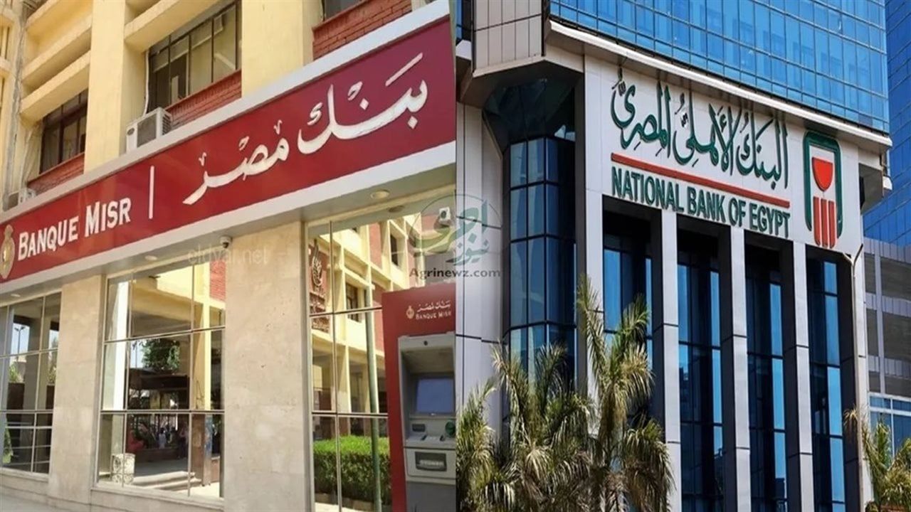 تفاصيل شهادات البنك الأهلي وبنك مصر قبل قرار الفائدة الجديد