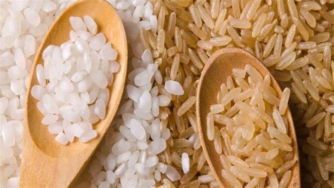 طن الشعير الآن.. سعر الأرز اليوم الثلاثاء 31 مارس 2026 في الأسواق