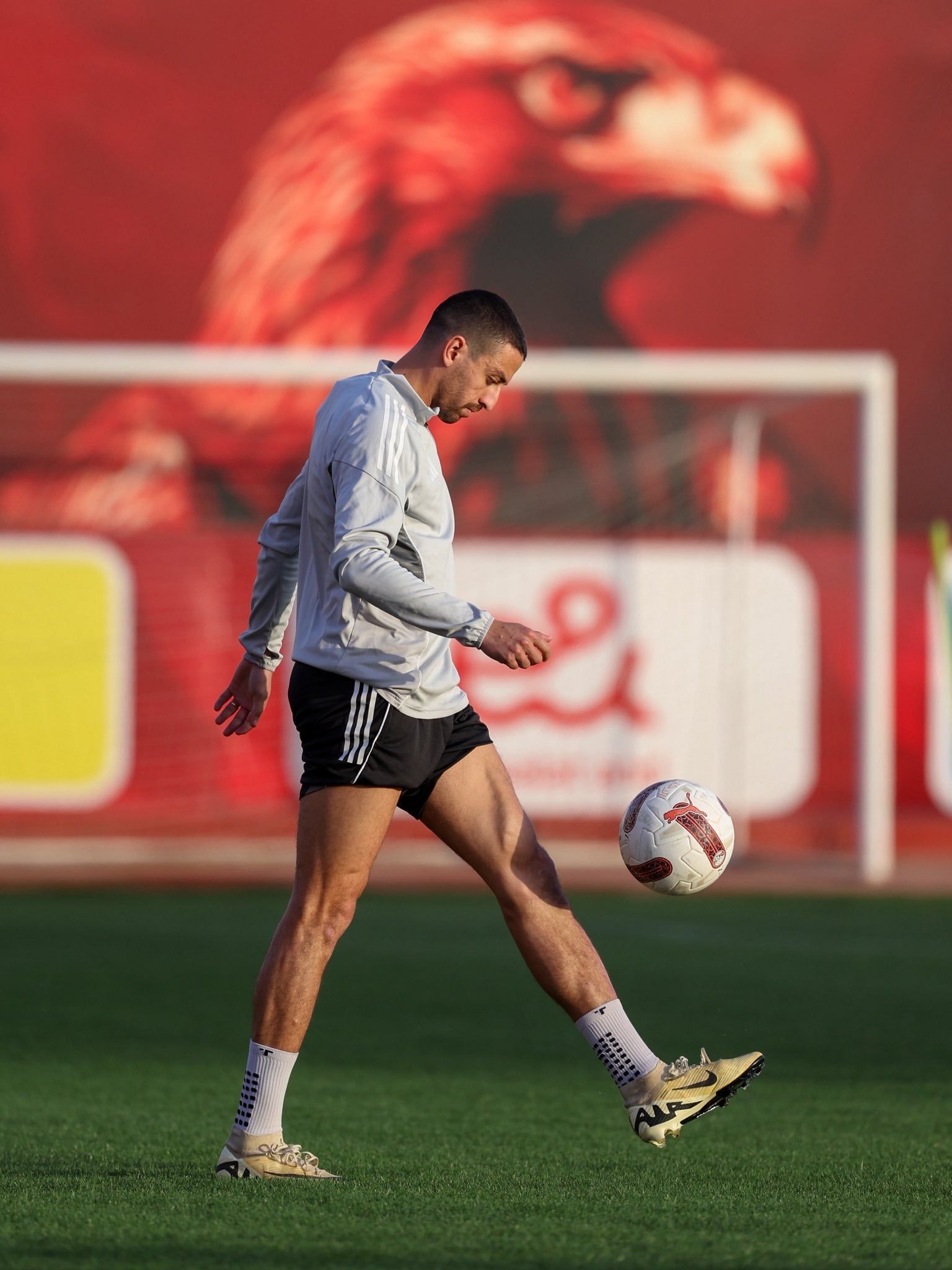 662022984_1503685511125712_7163625535988546501_n