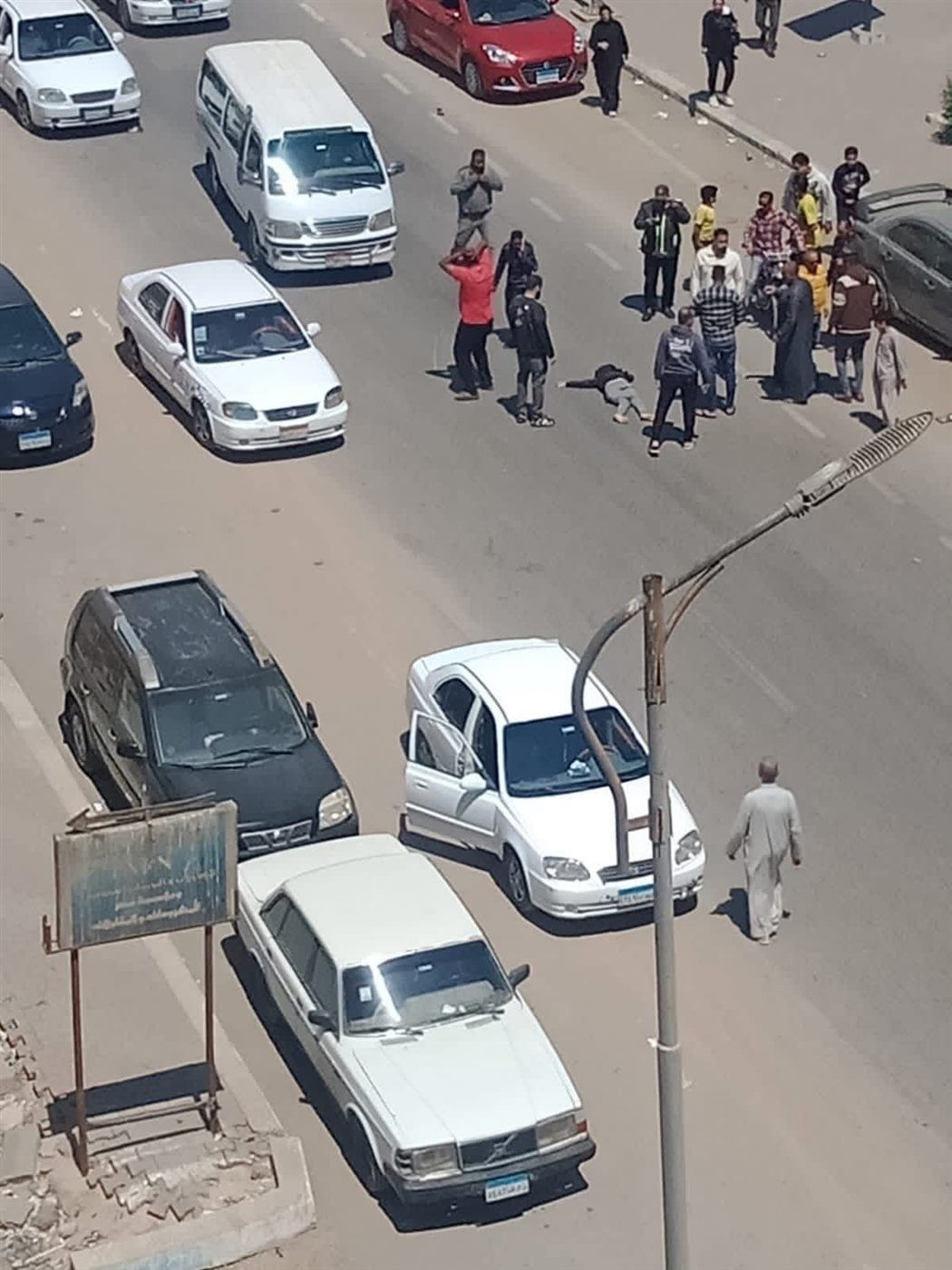 مطاردة الكلاب الضالة لطفل السويس