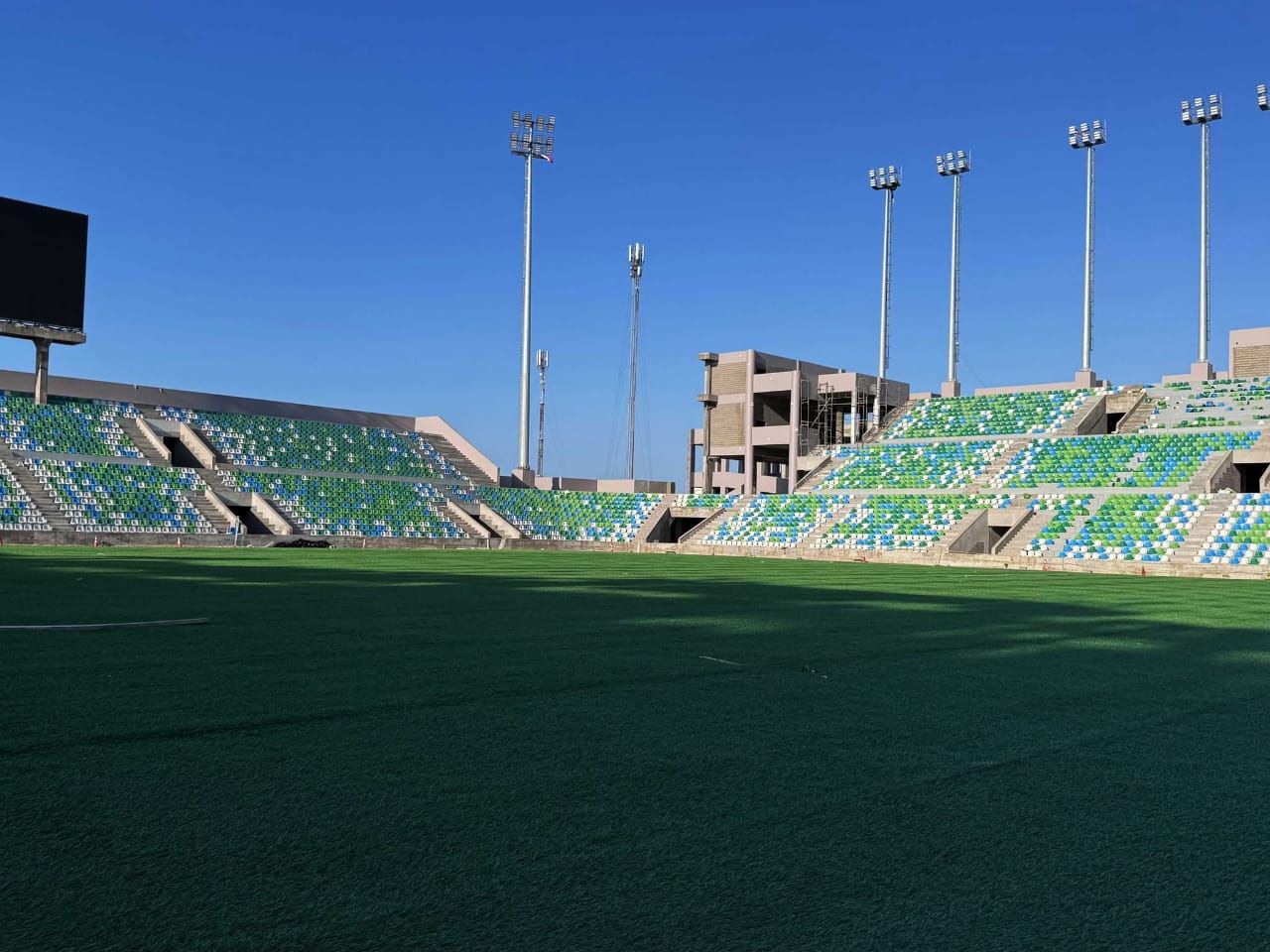 فرد الطبقة الأولى من النجيلة