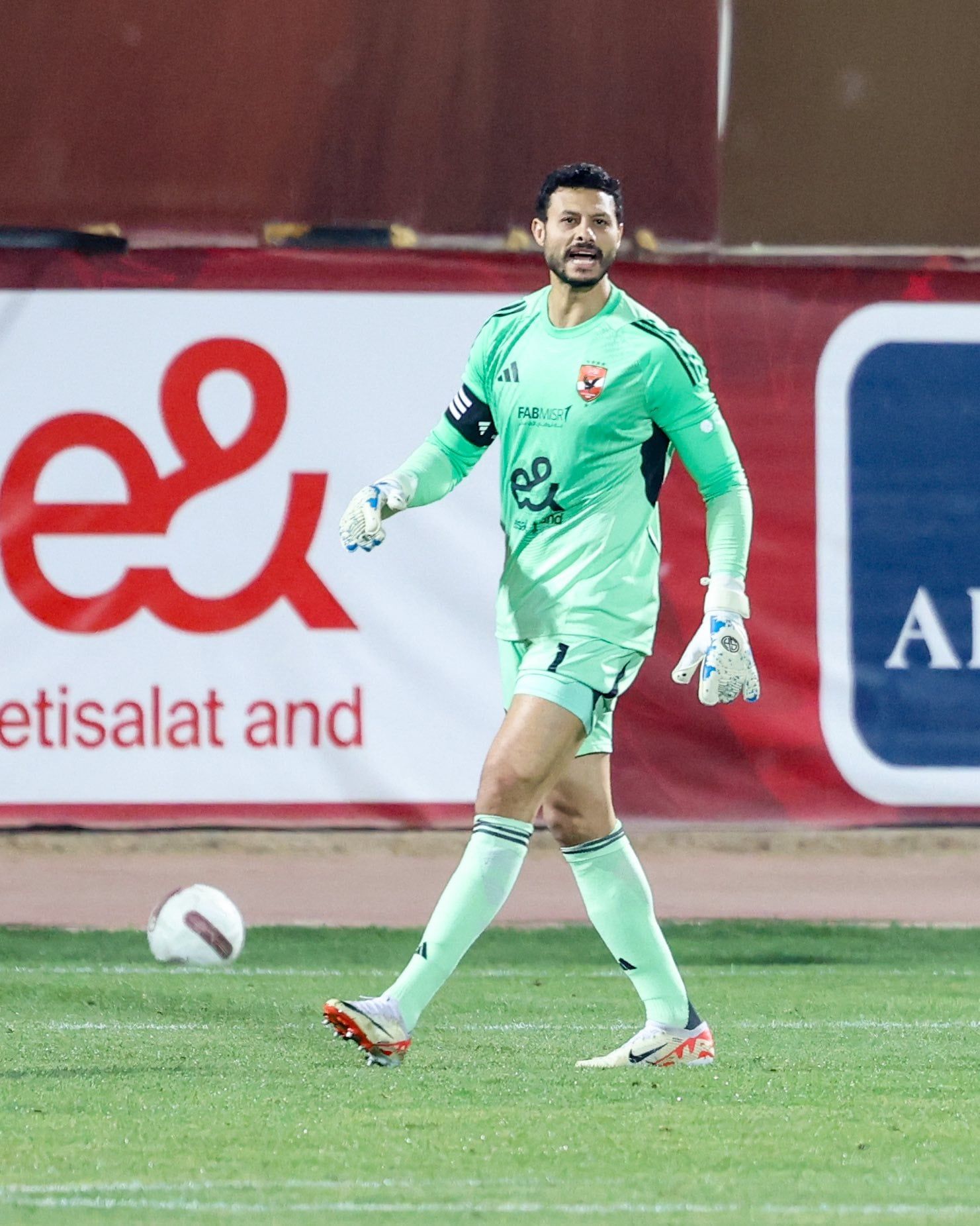 محمد الشناوي