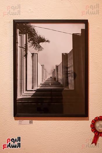 إحدى الصور الفائزة