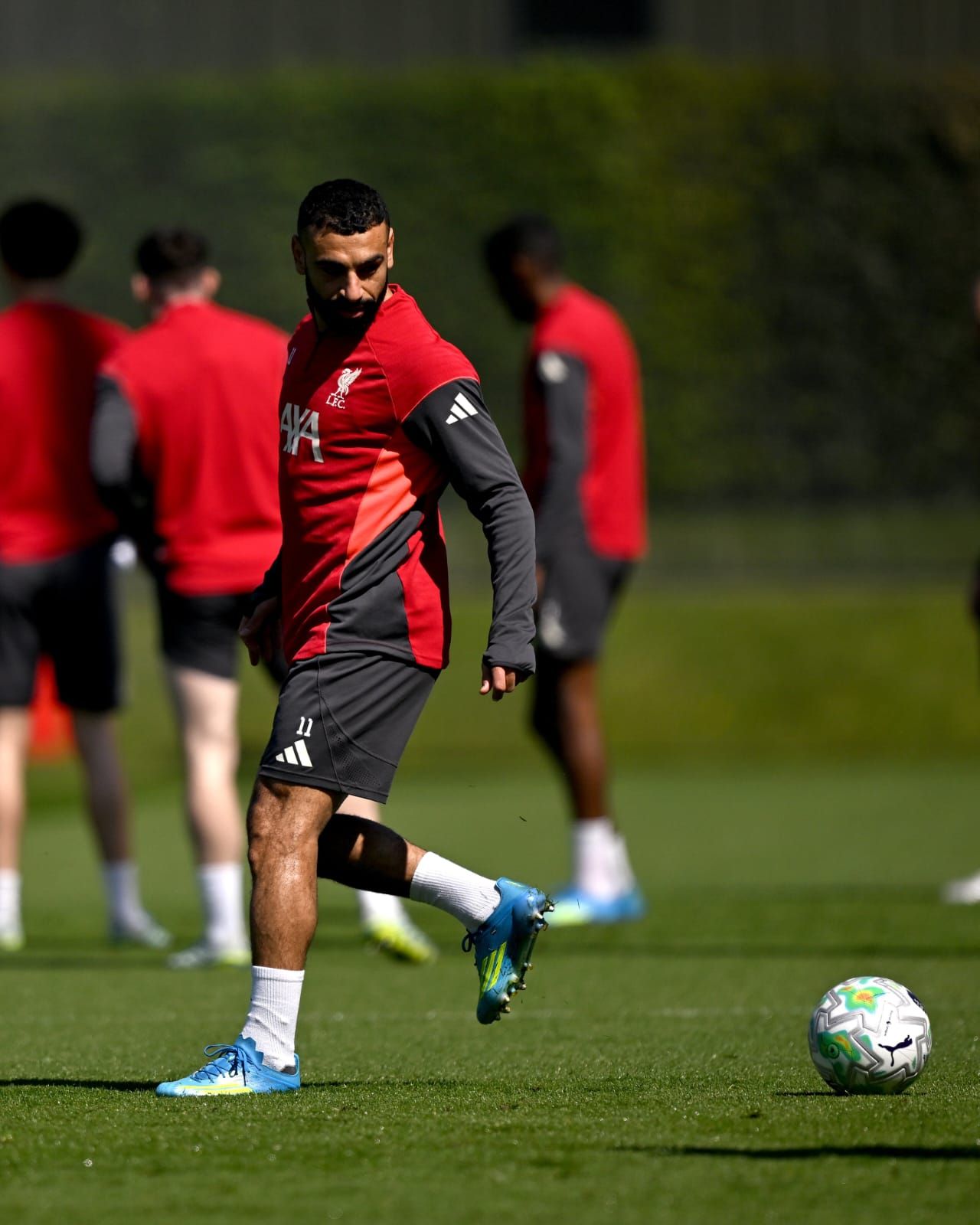 محمد صلاح في تدريبات ليفربول (7)