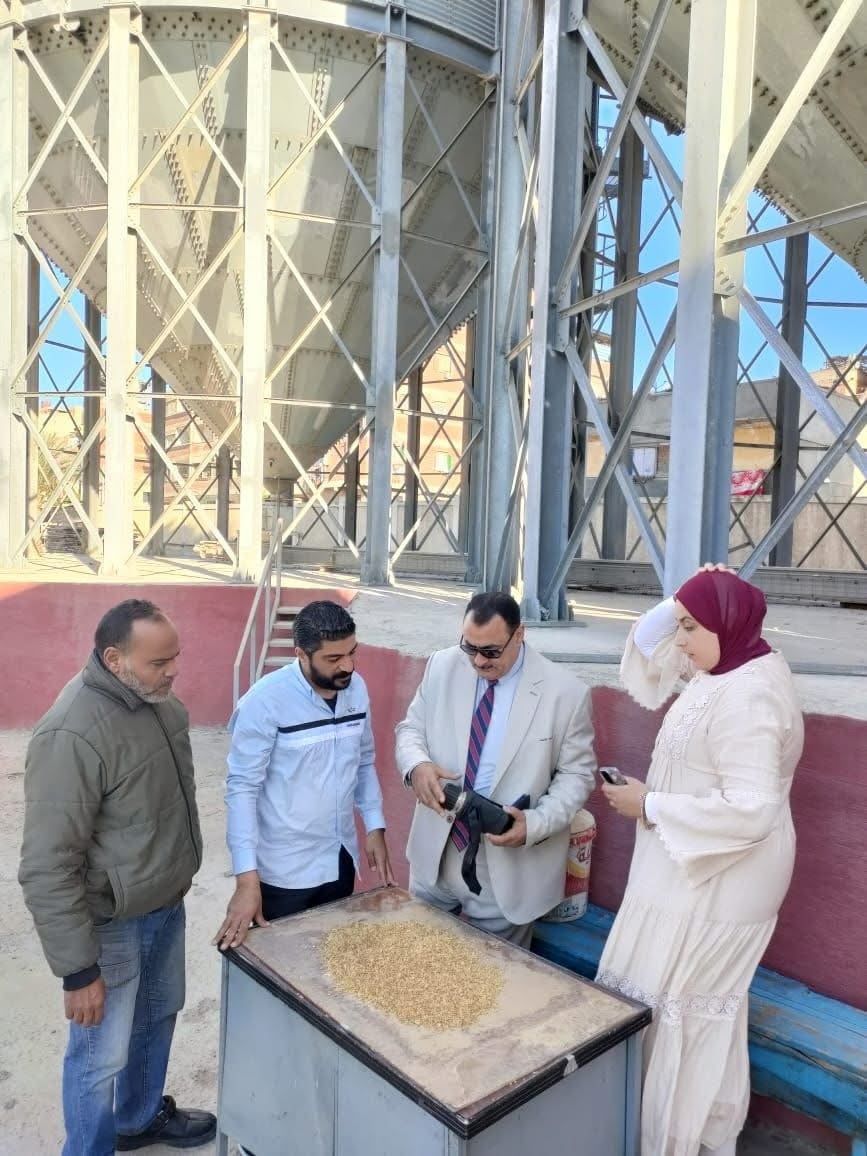 دمياط