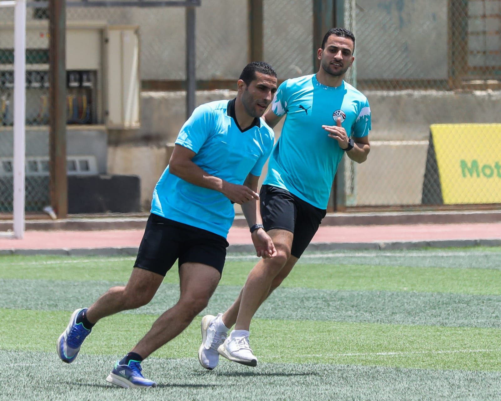 محمود ناجى