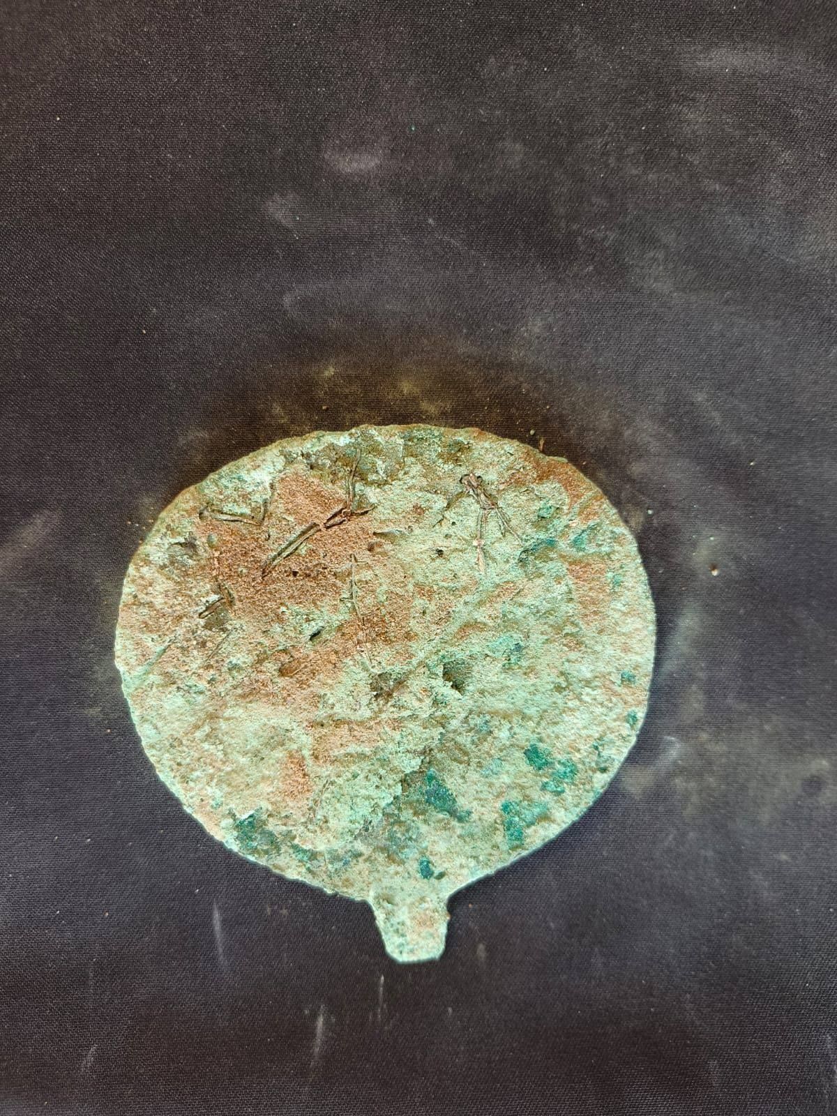 31cd2ff34f.jpg