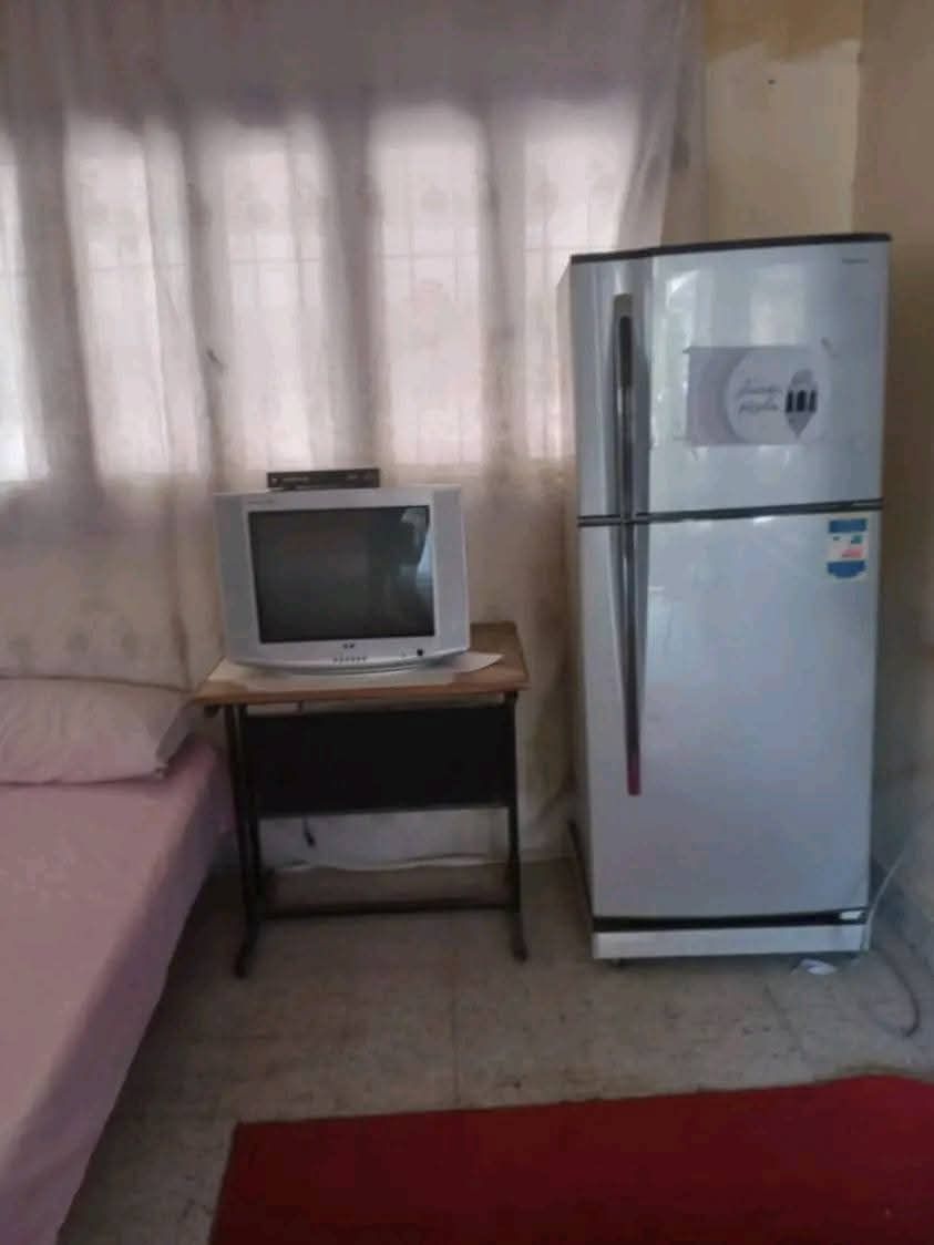 61377b8b77.jpg