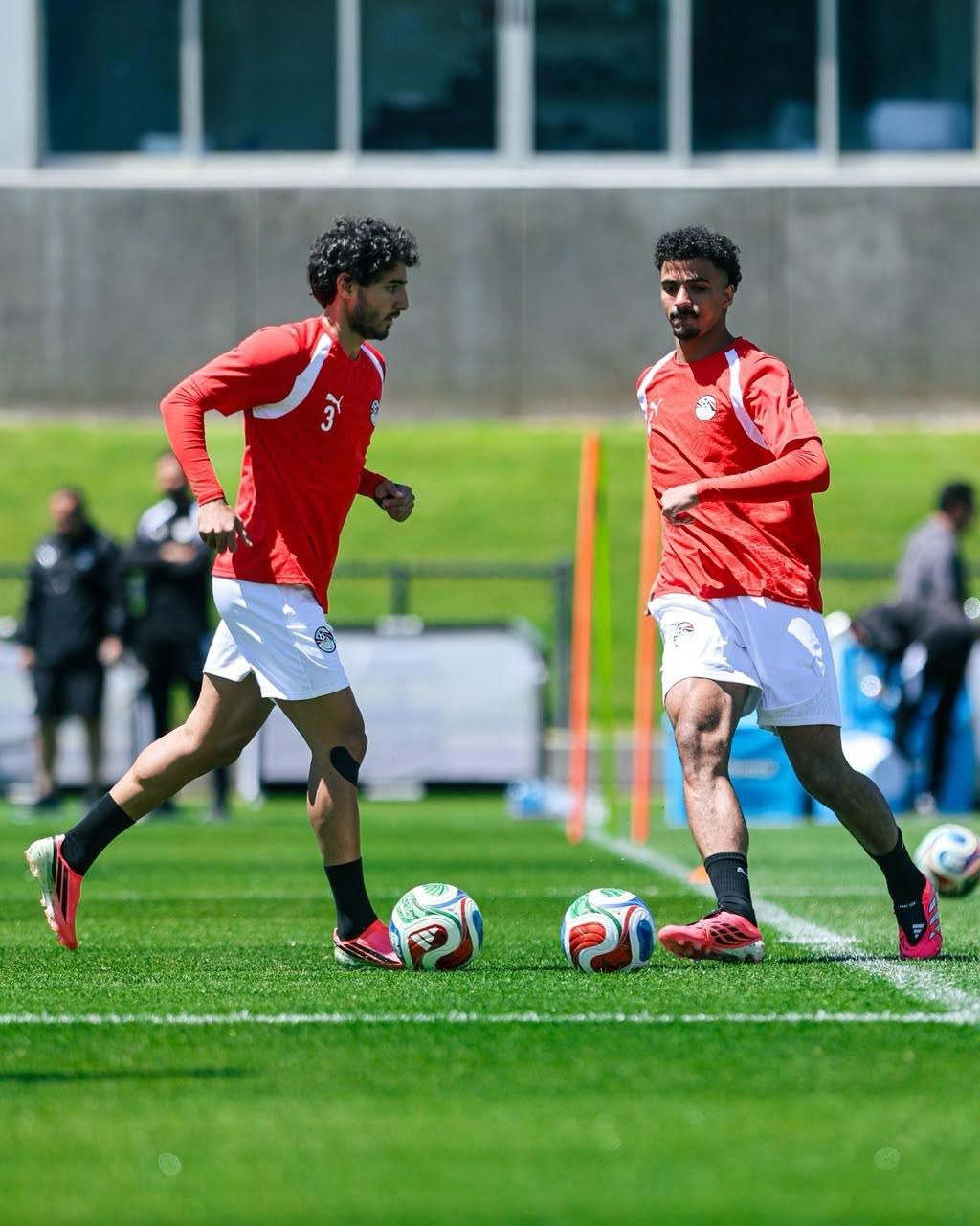محمد هاني