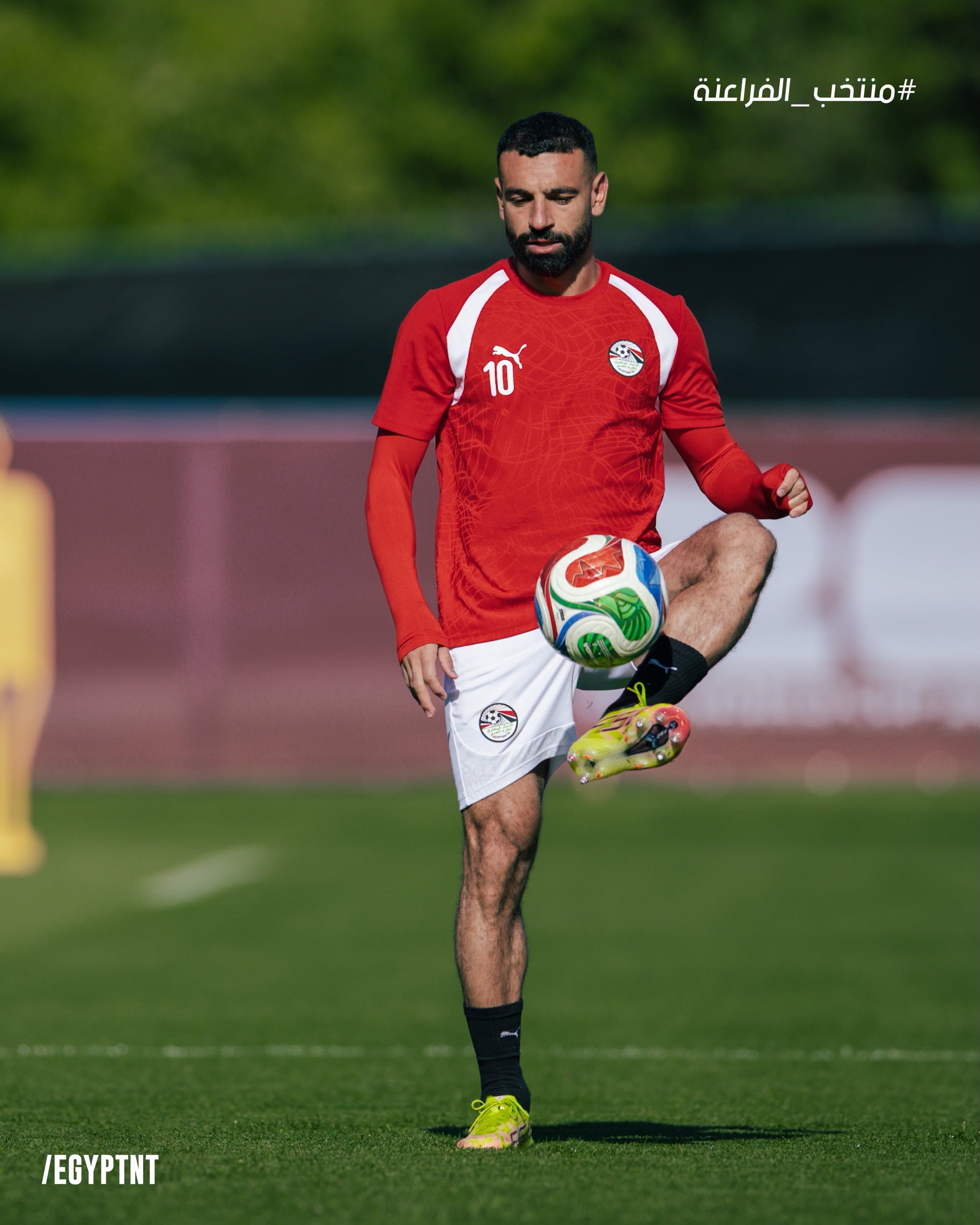 محمد صلاح محمد صلاح