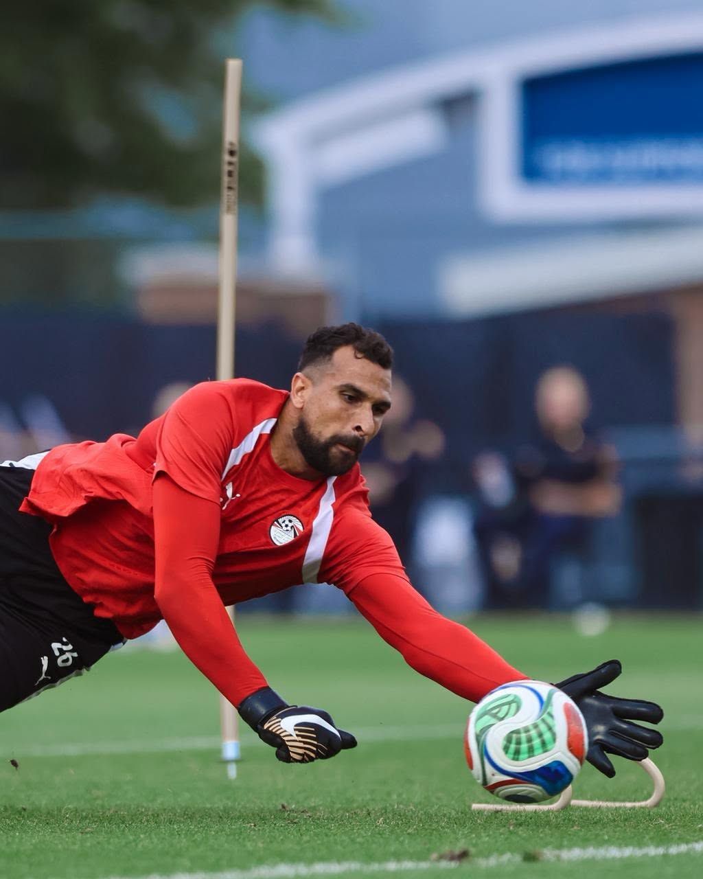 محمد علاء محمد علاء