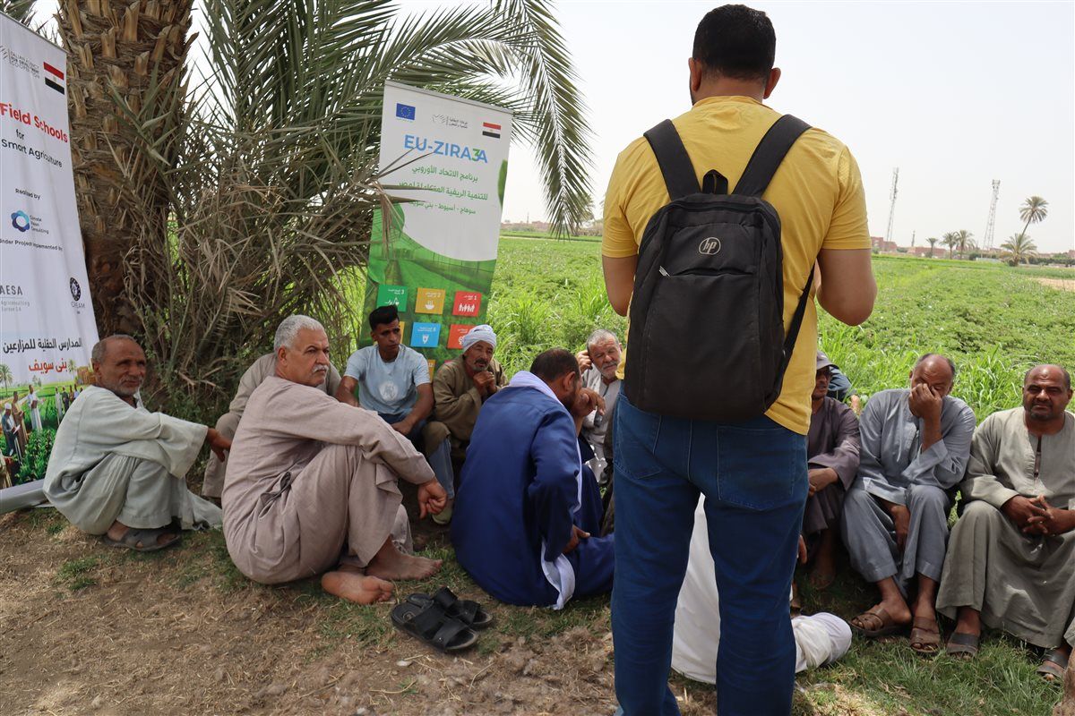 خلال أحدى جلسات المدرسة الحقلية في سوهاج