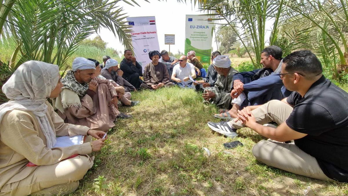  الدكتور رمضان علي المسئول الميداني لبرنامج الاتحاد الاوربي للتنمية الريفية المتكاملة EU-ZIRA3A بمحافظة سوهاج يتوسط المزارعين في إحدى جلسات المدرسة الحقلية 