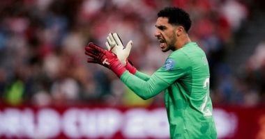 مصر وأستراليا.. ماذا قدم مصطفى شوبير وبيتش قبل صدام كأس العالم.