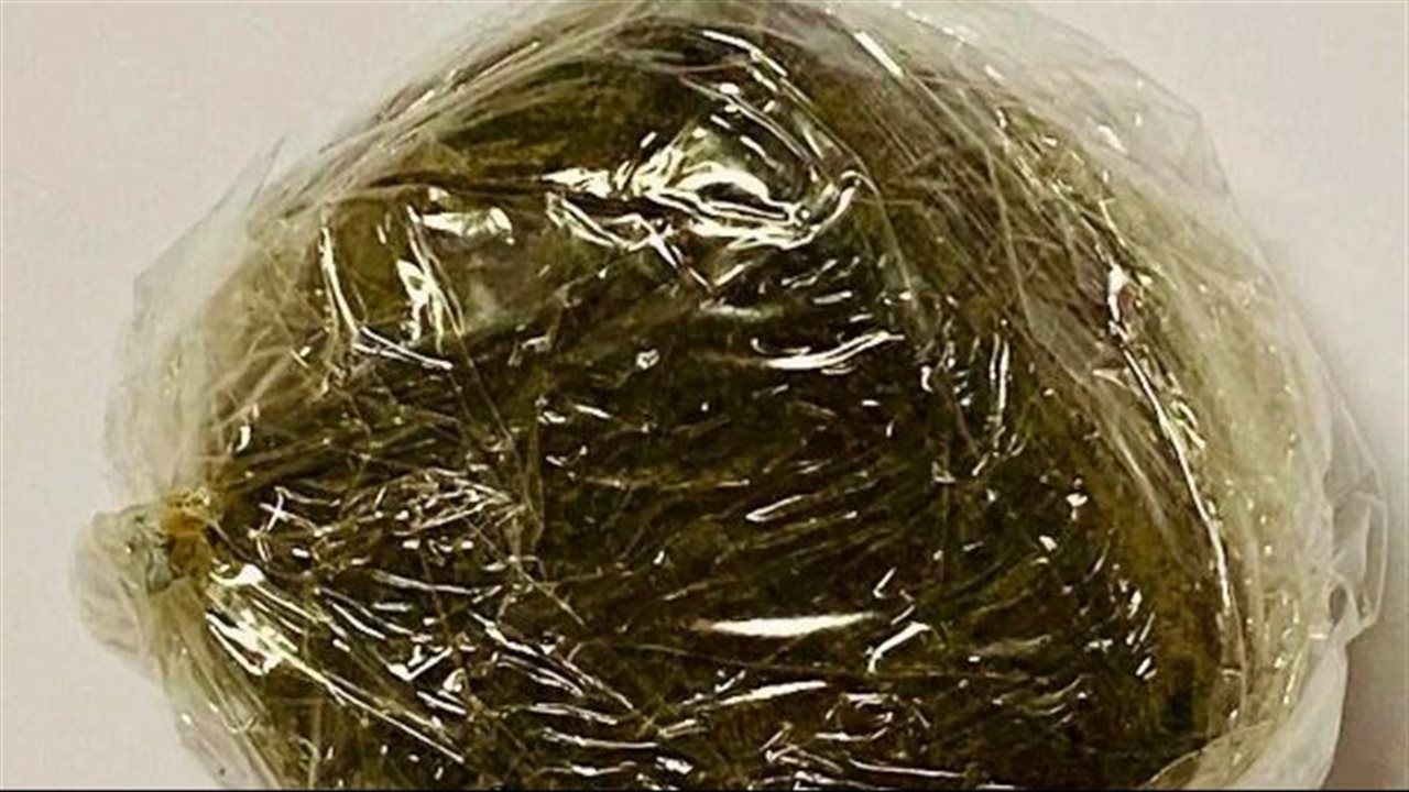 جمارك مطار الغردقة الدولي تضبط كمية من مخدر الحشيش