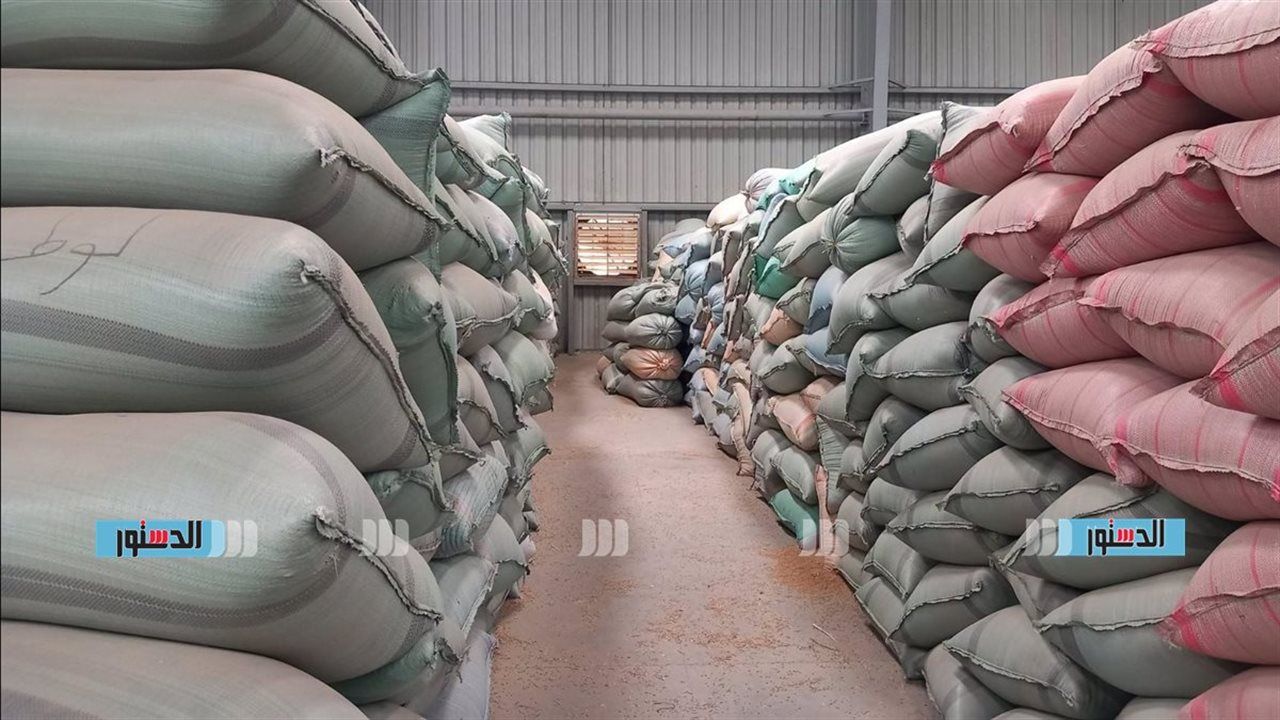 محافظ أسيوط: استلام 242 ألفًا و500 طن من القمح المحلي