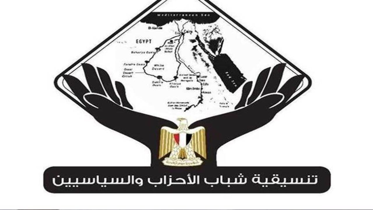 "تنسيقية شباب الأحزاب" تعقد ورشة عمل حول آليات ضبط الحدود الكربونية وتأثيراتها على الصناعة