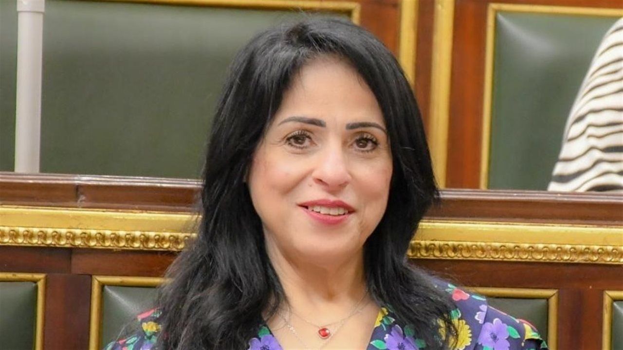 برلمانية: كلمة الرئيس السيسي تؤكد أن بناء المؤسسات القوية هو الضمان الحقيقي لحماية الدولة