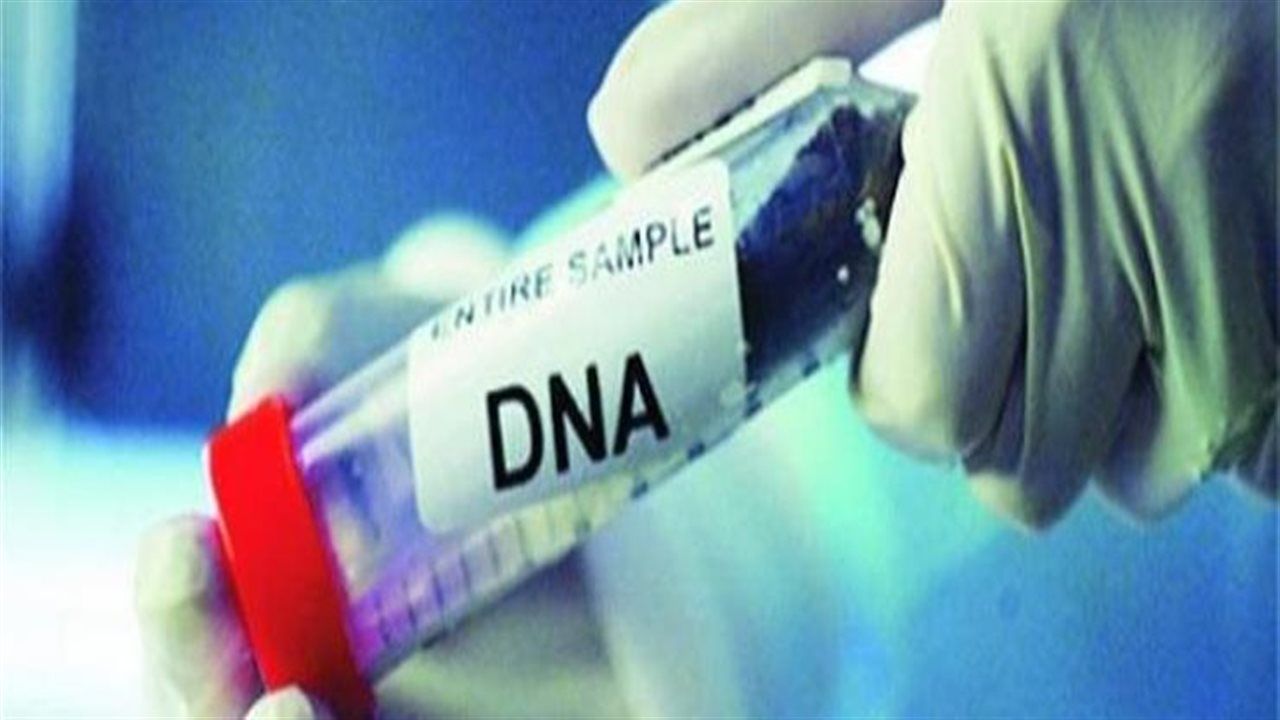 تحليل DNA في قضايا النسب.. متى تأمر به المحكمة؟