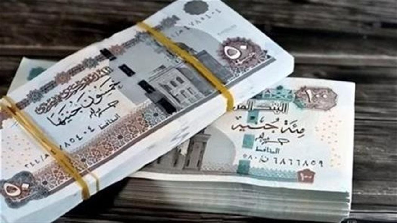 الاستعلام عن قيمة المعاش بالرقم القومي 2026.. الرابط والخطوات