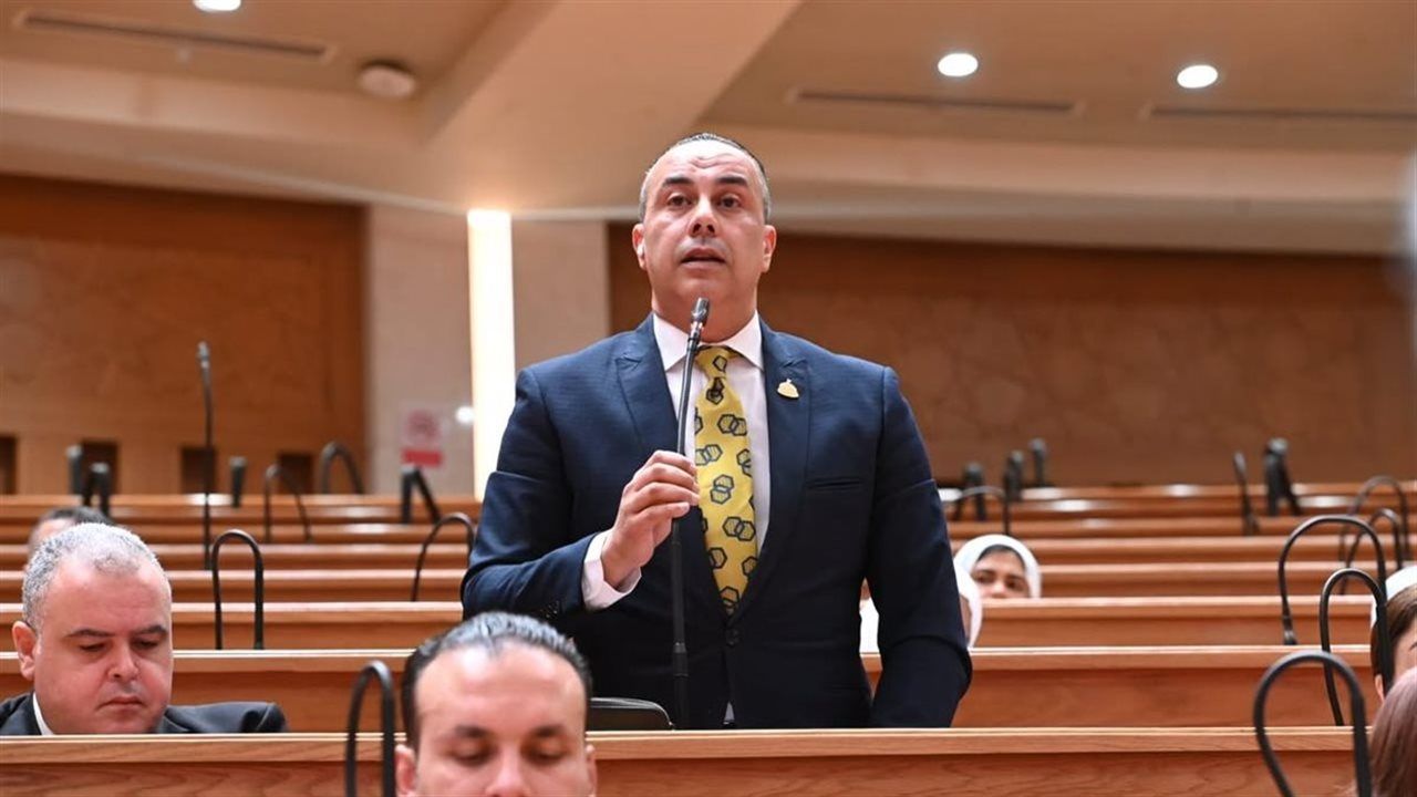 برلماني: توجيهات الرئيس السيسي تضع حدًا لفواتير الكهرباء المبالغ فيها وتحمي المواطن من أي أعباء