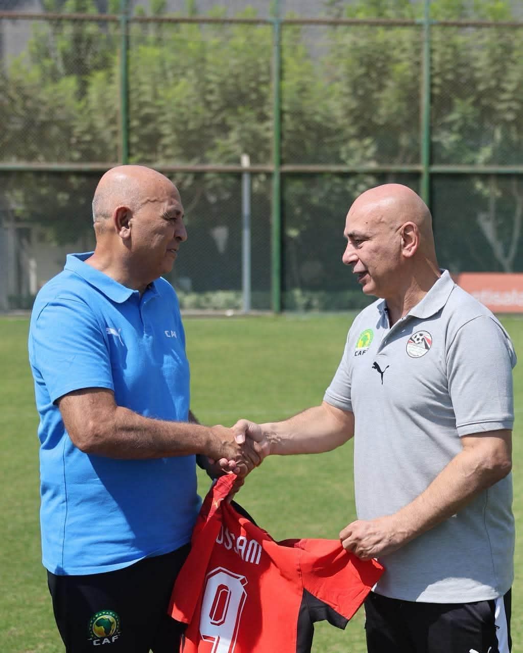 798dedfc6a.jpg