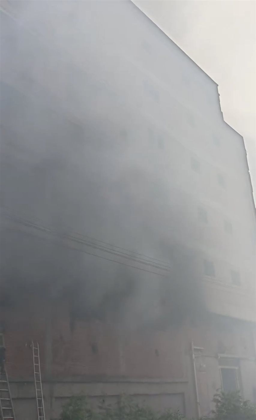 2bcd8fd30b.jpg