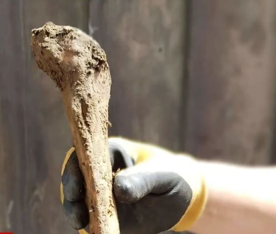 عظمة عثر عليها بعد الحفر