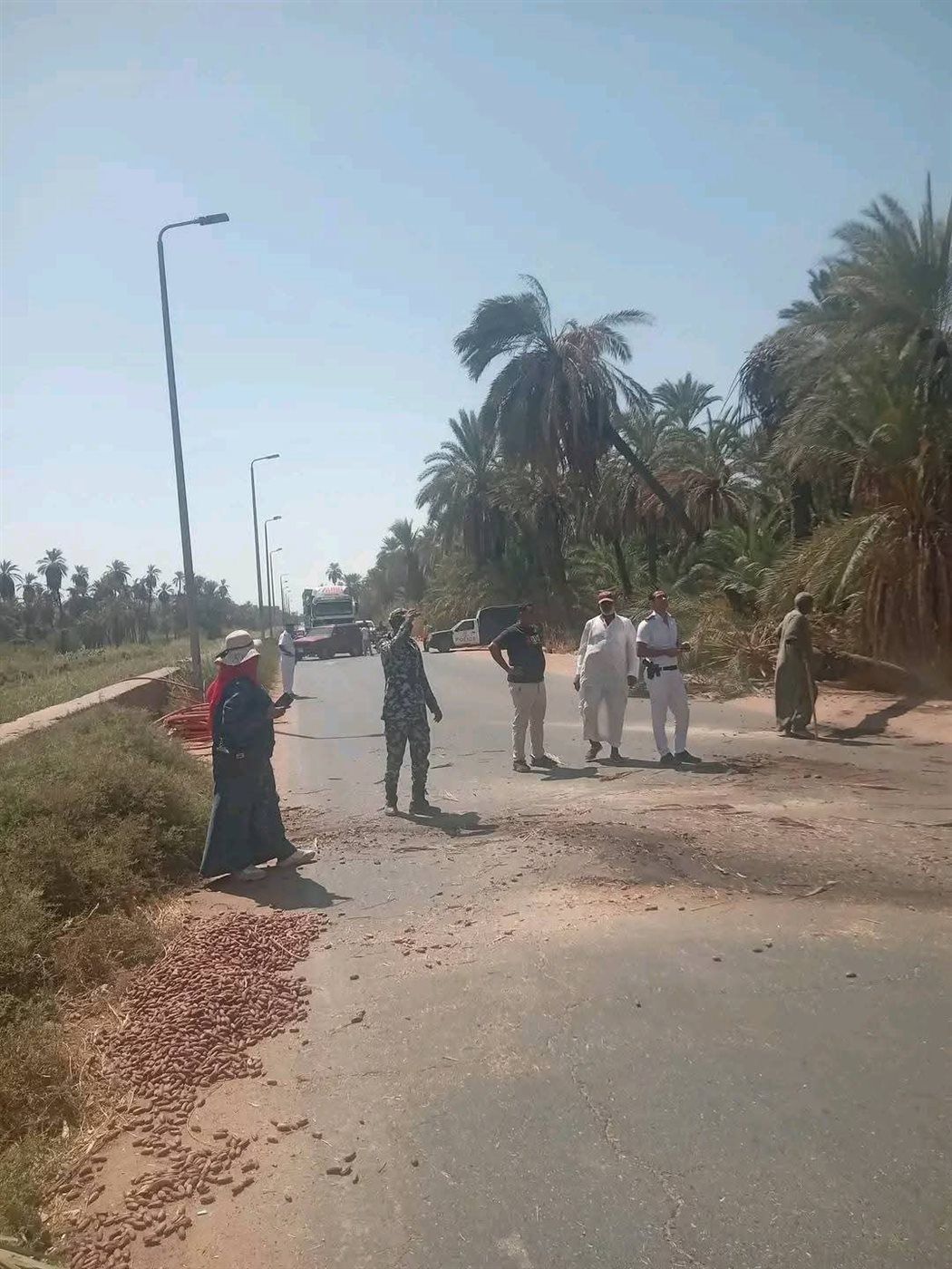 سقوط نخلة على الطريق الزراعي بأسوان وتعطل الحركة المرورية (صور)