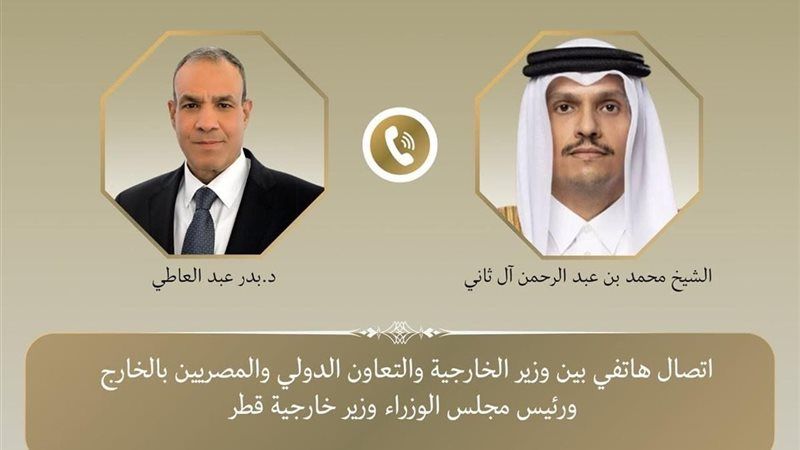 وزير الخارجية يشدد على حرية الملاحة بالبحر الأحمر وباب المندب ويرفض استخدام الممرات للضغط