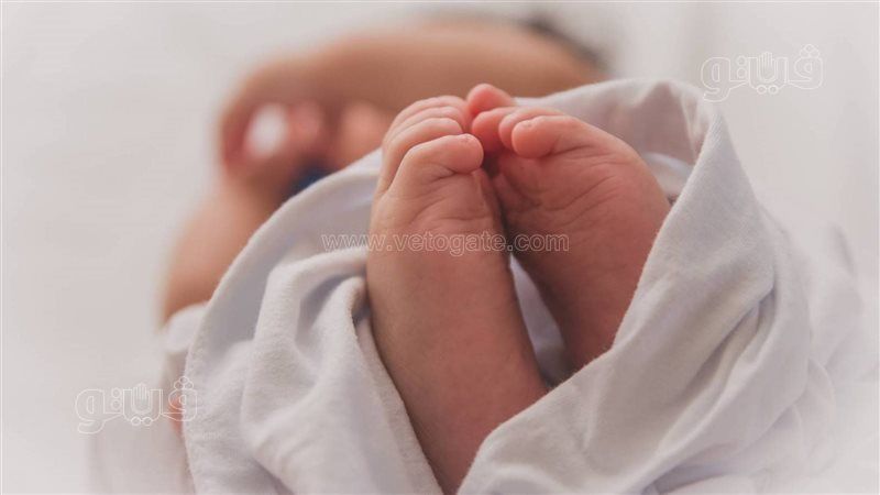 العثور على رضيع حديث الولادة داخل كيس بلاستيك في شبين الكوم بالمنوفية