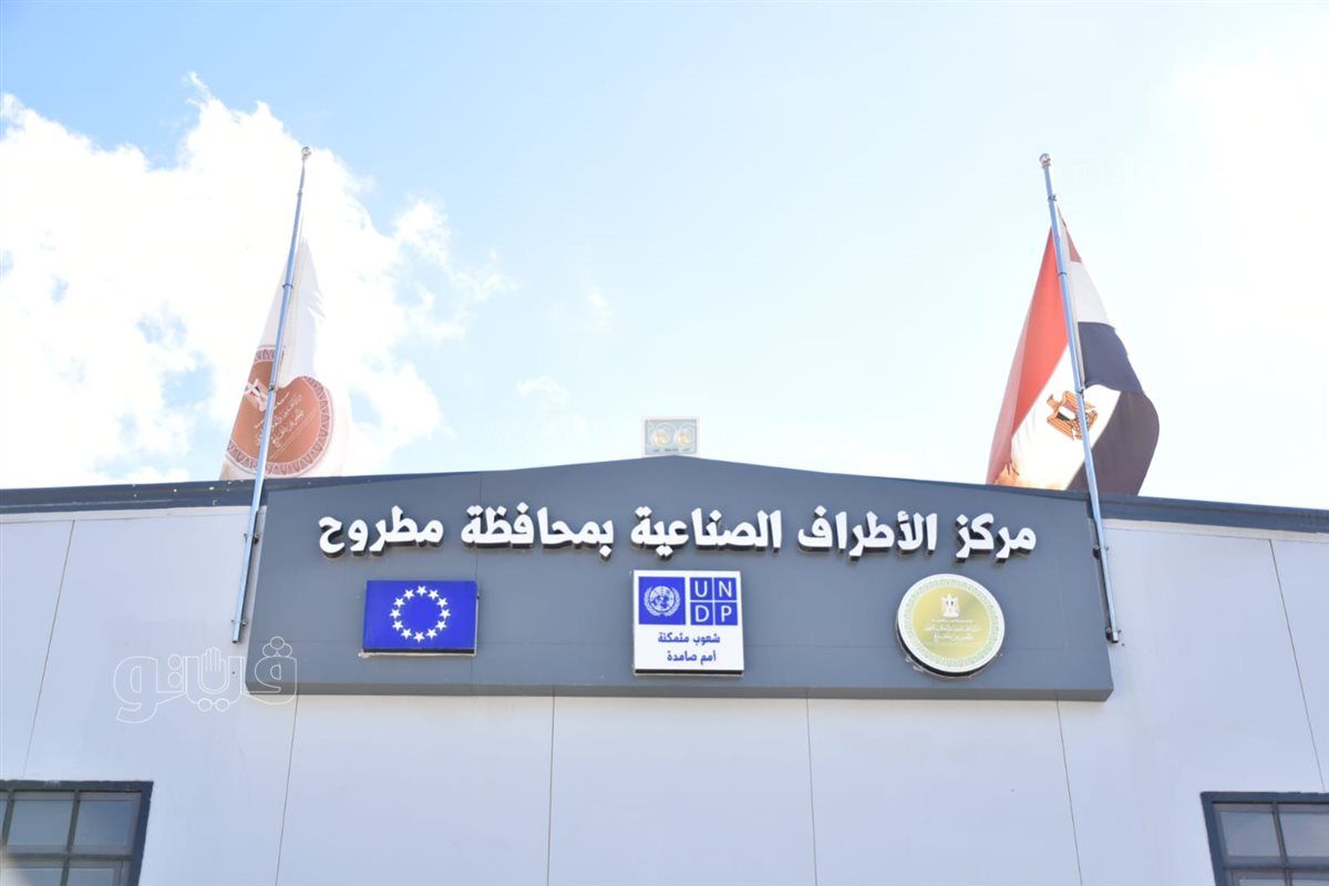 6d58441482.jpg