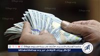 البنك المركزي: صافي الأصول الأجنبية للقطاع المصرفي يقفز إلى 31.2 مليار دولار في أغسطس.. أعلى مستوى منذ 6 سنوات