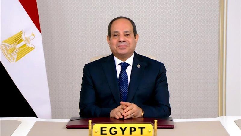 توافق مصري صومالي على تعزيز التنسيق بشأن أمن القرن الأفريقي وباب المندب