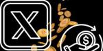 بعد إطلاق «X Money».. تحذير من هجمات تستهدف حسابات المستخدمين وكلمات المرور