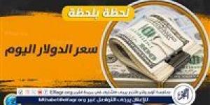 تراجع سعر الدولار أمام الجنيه خلال ختام التعاملات المسائية بالبنوك اليوم الأربعاء