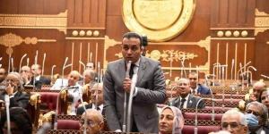 برلماني: مناقشة تحويل الدعم من عيني إلى نقدي هدفه إعلاء مصلحة المواطن