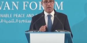 وزير الخارجية: مصر هي أكثر الدول تضررا من التصعيد في البحر الأحمر وخليج عدن