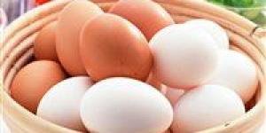 أسعار البيض اليوم.. هل يستمر الانخفاض خلال الأيام المقبلة؟