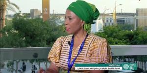 مسئولة أممية: أكثر من نصف سكان قارة إفريقيا بلا كهرباء