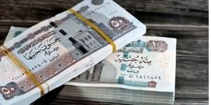 خطوات الاستعلام عن معاش شهر نوفمبر 2025 بالرقم القومي عبر موقع التأمينات الرسمي
