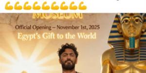 تامر حسني: "فخور إن دي حضارتي وكل الفخر بافتتاح المتحف المصري الكبير"