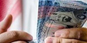 سعر الريال السعودي اليوم مقابل الجنيه المصري في البنوك 2 نوفمبر 2025