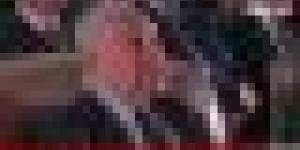 رئيـس الجمهـورية يتابع عروضا لألعاب نارية شيقة على وقع مقتطفات من مختلف الطبوع الموسيقية الوطنية